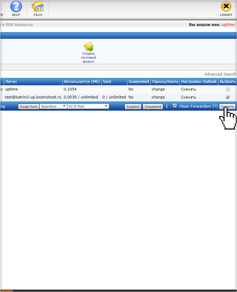 Удаление email из списка в DirectAdmin