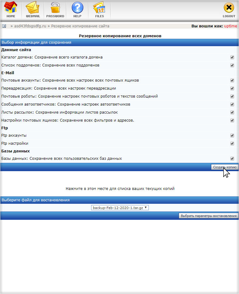 Запуск создания пользовательской резервной копии на хостинге с DirectAdmin