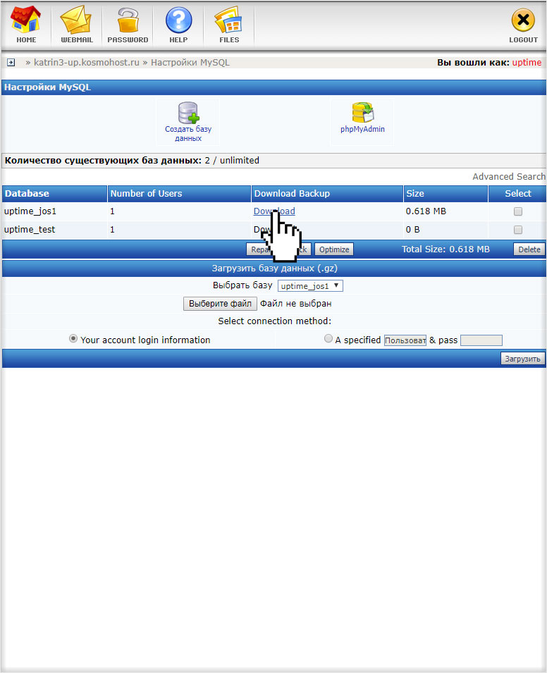 Сохранение дампа MySQL на компьютер через DirectAdmin