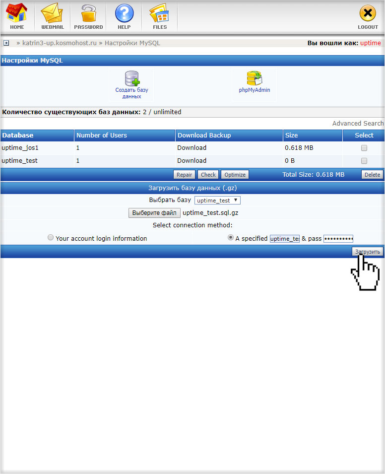 Загрузка дампа БД MySQL из DirectAdmin