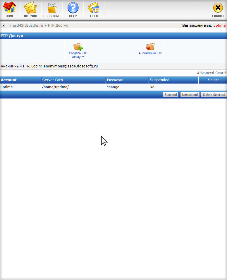 Успешное удаление доступа FTP с хостинга в DirectAdmin