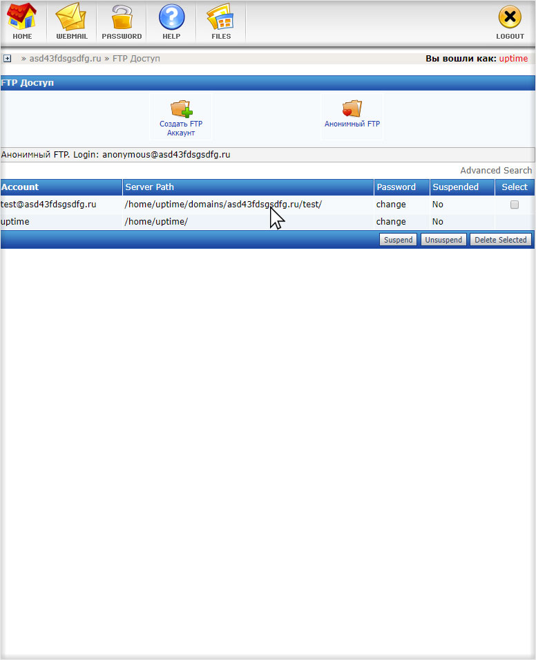 Успешное изменение дополнительного FTP на хостинге с DirectAdmin