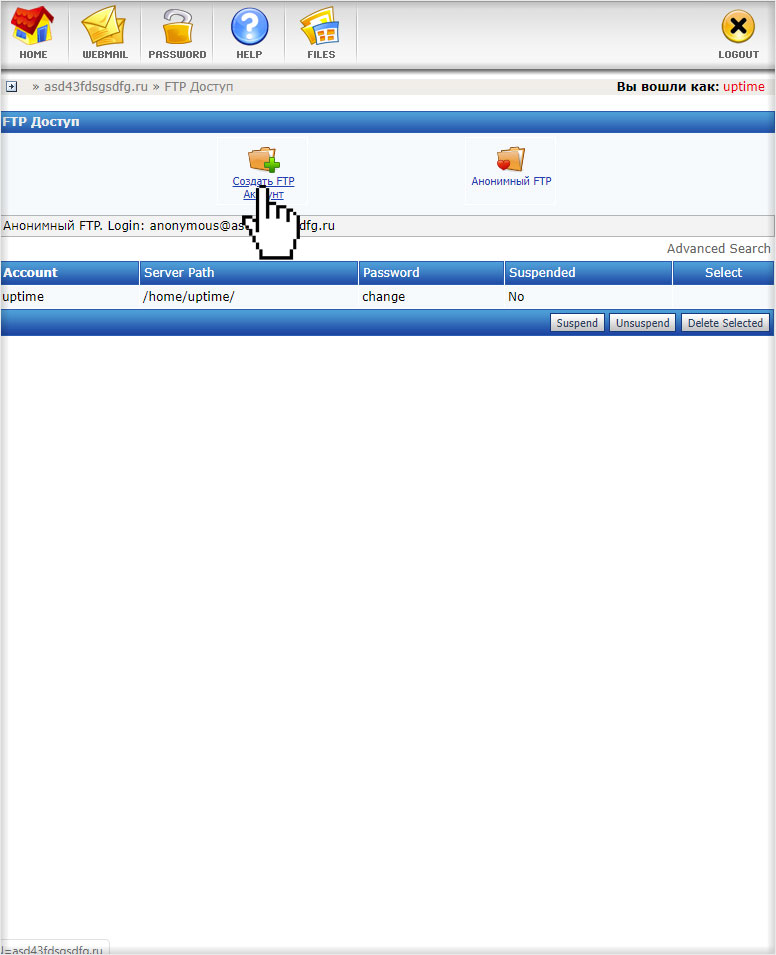 Переход к созданию дополнительного FTP на хостинге с DirectAdmin