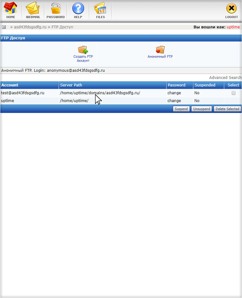 Успешное создание доступа FTP на хостинге с DirectAdmin
