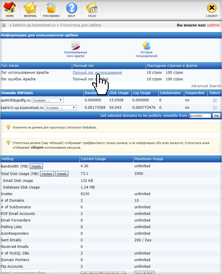 Просмотр логов на хостинге с DirectAdmin