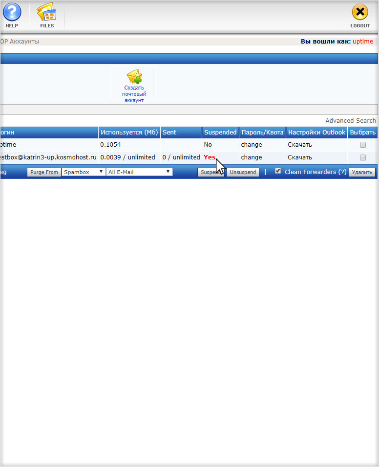 Успешная блокировка почты в DirectAdmin